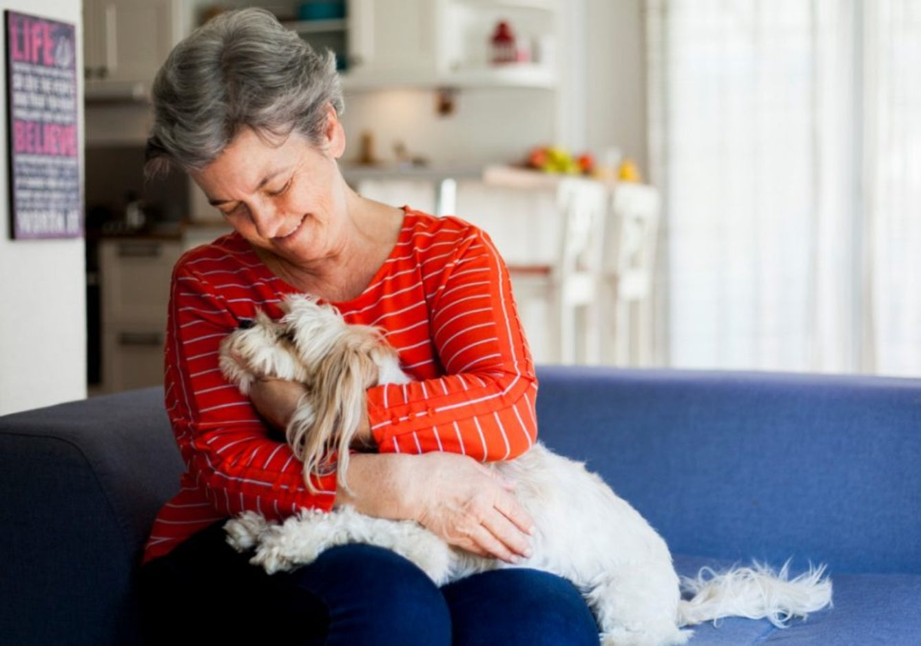 Como as verminoses são transmitidas em pets?