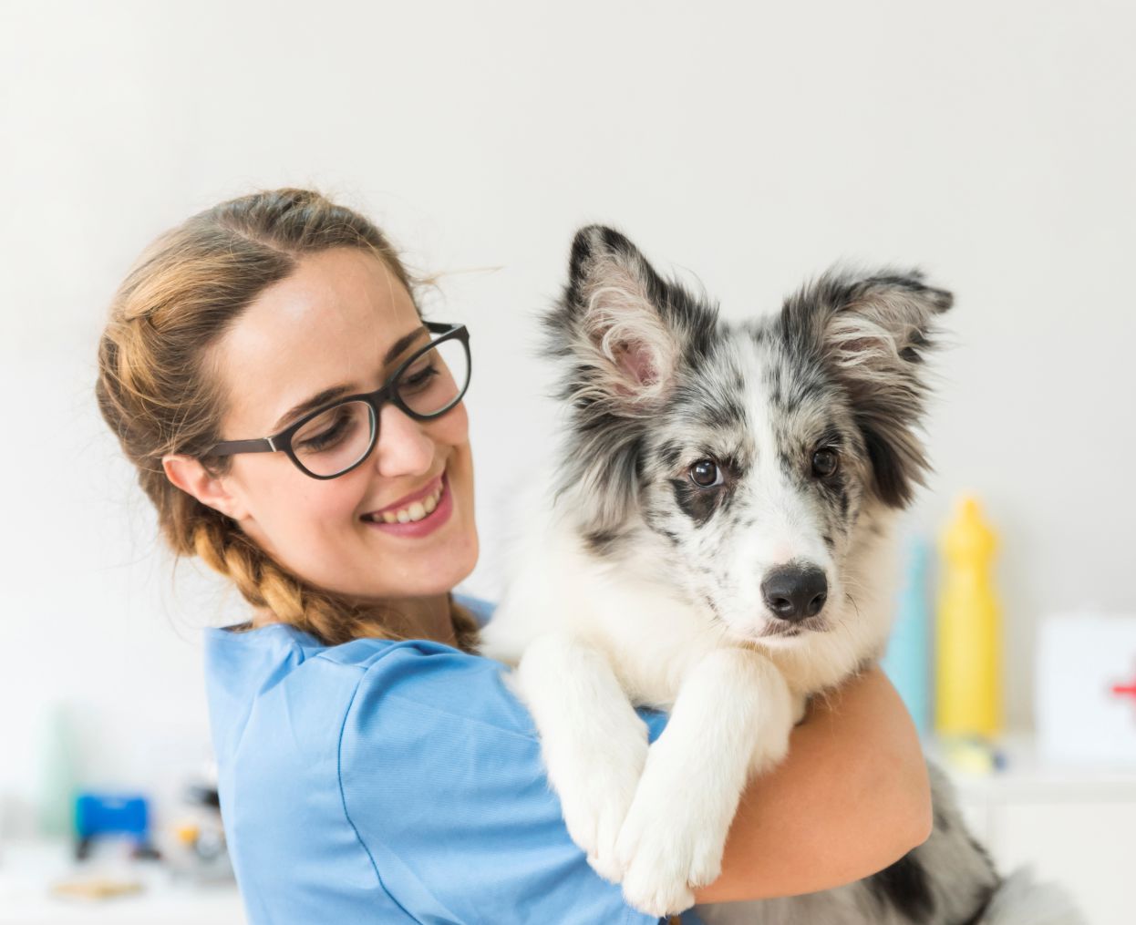 Nova lei permite visita de pets a pacientes em hospitais de Santa Catarina