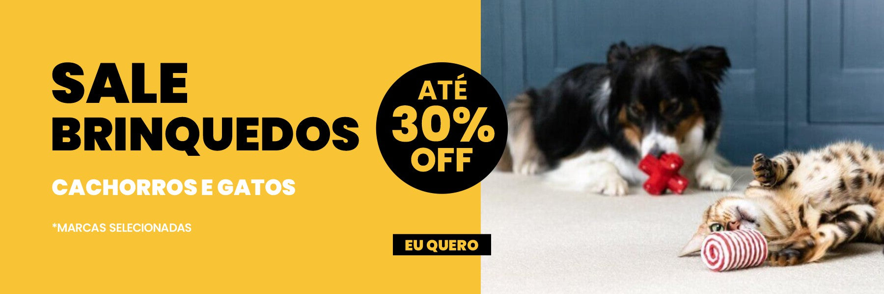 Brinquedos Pet