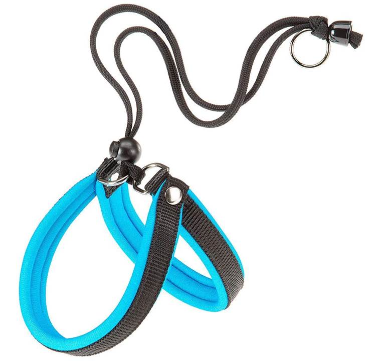 Peitoral Ferplast Agila Fluo 2 Azul