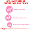 Ração Royal Canin Kitten Sterilised Gatos Filhotes 1,5kg