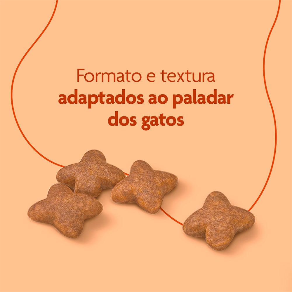 Ração Royal Canin Super Premium Cat Beleza da Pelagem para Gatos Adultos 2,5kg