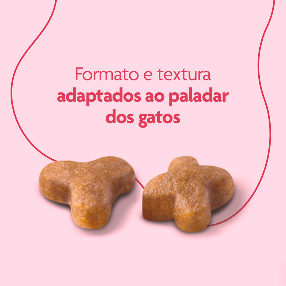 Ração Royal Canin Super Premium Cat para Gatos Filhotes 2,5kg