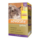 Antipulgas Advocate para Gatos entre 4 e 8kg 0,8ml Combo 3 bisnagas