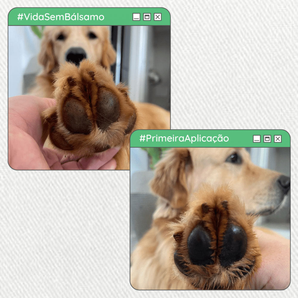 Bálsamo Hidratante Vegano para Patinhas e Cotovelos de Cachorros 30g