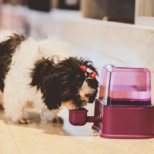 Bebedouro Automático para Cachorro Petlon Azul