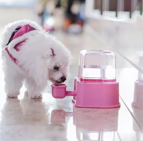 Bebedouro Automático para Cachorro Petlon Rosa