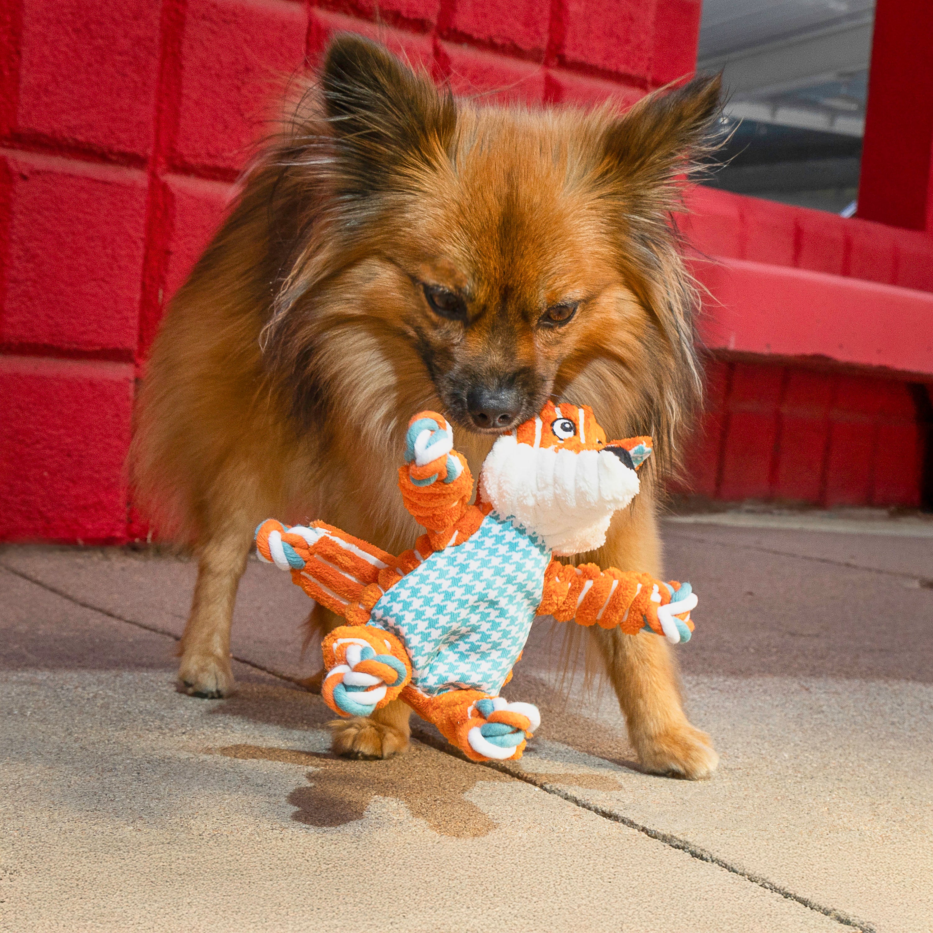 Brinquedo para Cachorro KONG Floppy Knots Fox Small/Medium