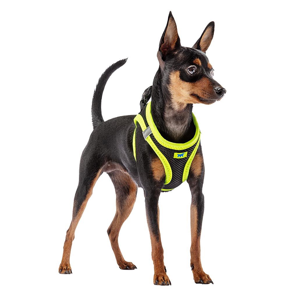 Peitoral Ferplast Kaori XXS Amarelo