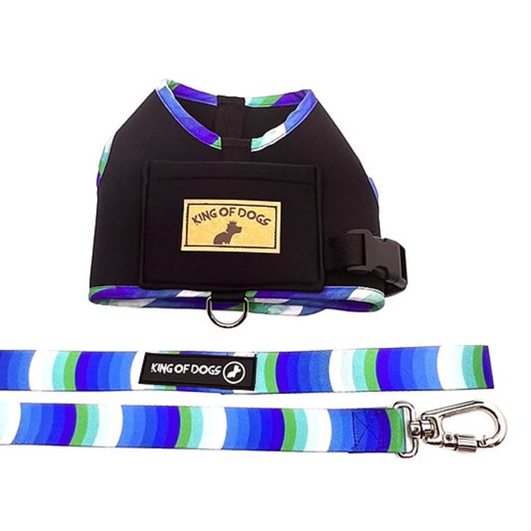 Peitoral Hug King Of Dogs Blue Preto P