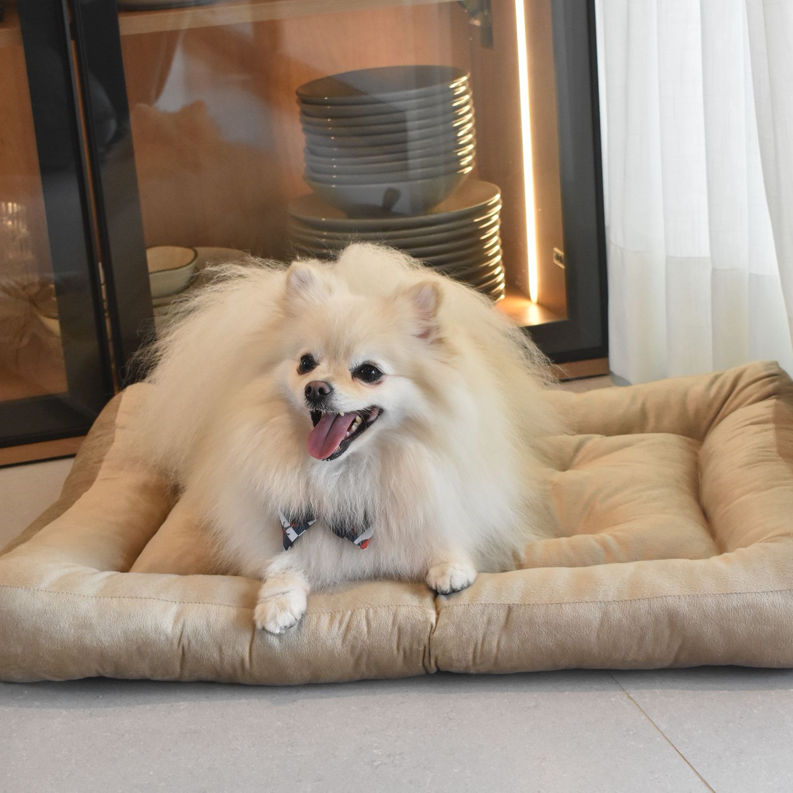 Cama para Cachorro Ferpa Pets Colchonete Quadrado Bege P