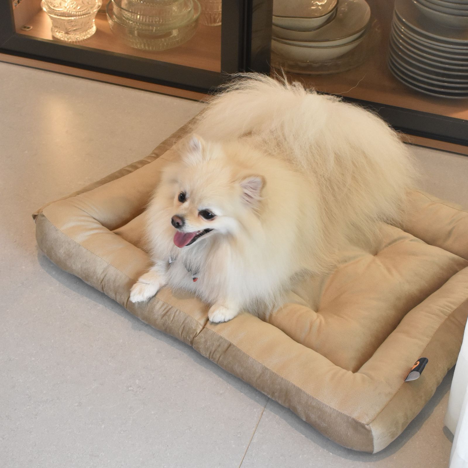 Cama para Cachorro Ferpa Pets Colchonete Quadrado Bege P