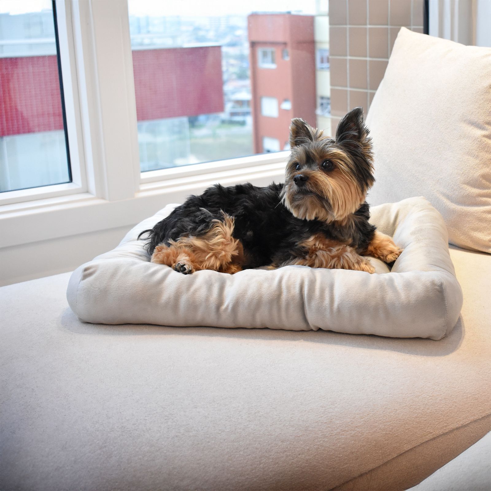 Cama para Cachorro Ferpa Pets Colchonete Quadrado Prata M