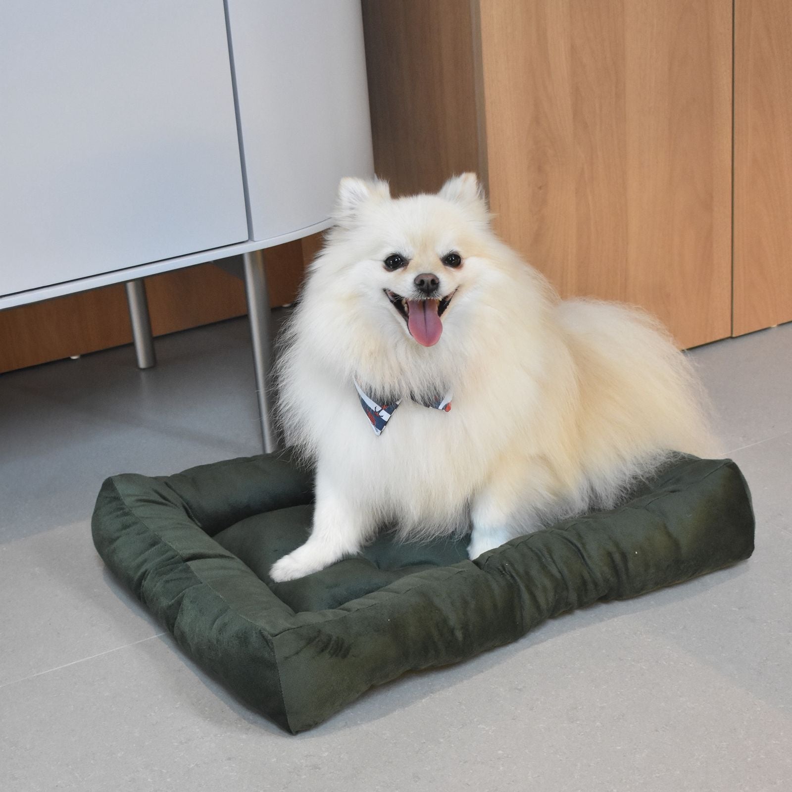 Cama para Cachorro Ferpa Pets Colchonete Quadrado Verde Escuro M