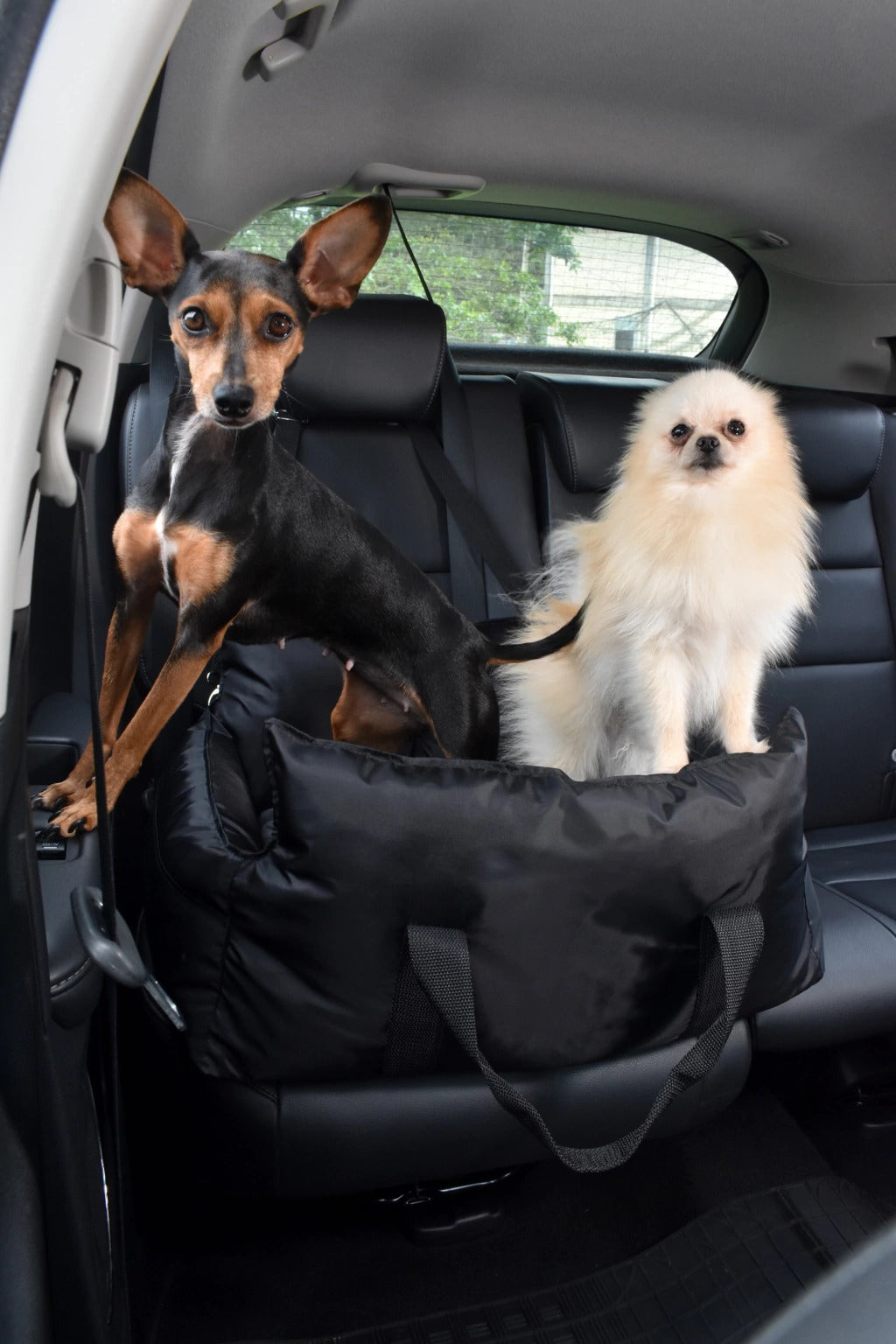 Cama de Viagem para Cachorro Ferpa Pets Preto M