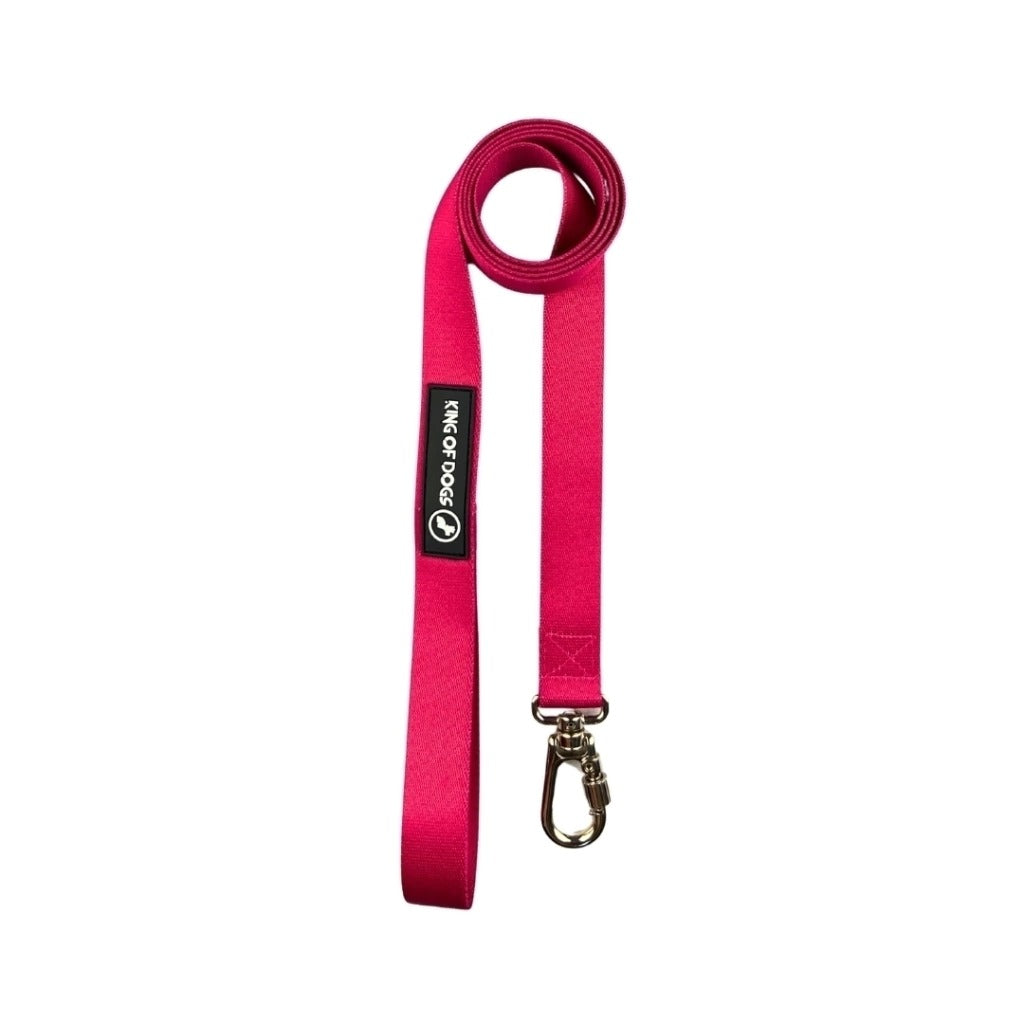 Guia Longa King Of Dogs Passeio Barbie P 2m