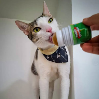 Petisco Cremoso Hana Lick Cat Salmão 40g