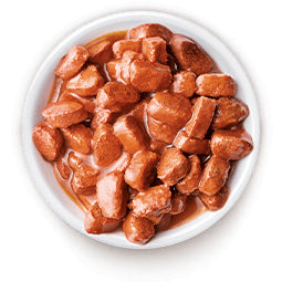 Alimento Úmido Special Cat Ultralife Gatos Adultos Salmão 85g