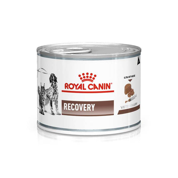 Alimento Úmido Royal Canin Recovery Wet Cão/Gato Patê 195g