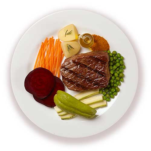 Alimento Natural Pet Delícia Cães Caçarolinha de Carne 320g