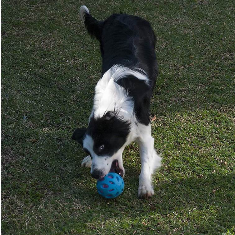 Brinquedo para Cachorro JW Crackle Ball Roxo Médio