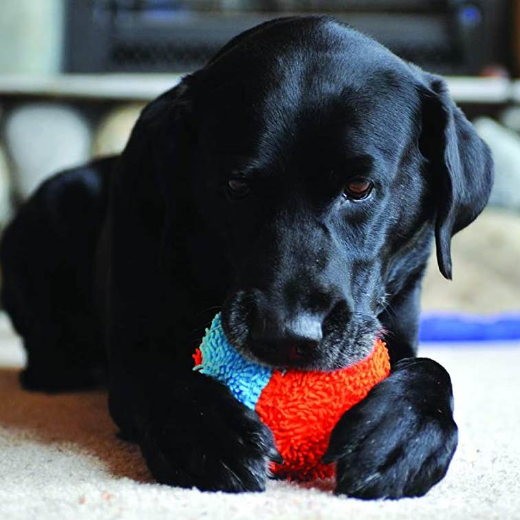 Brinquedo para Cachorro Chuckit Bola Indoor Ball