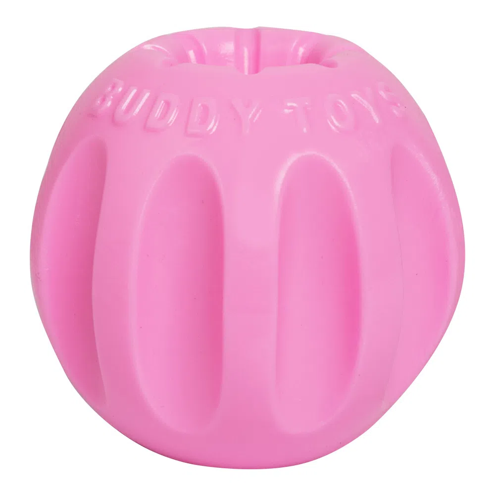 Brinquedo Buddy Toys Mini Bolt Rosa