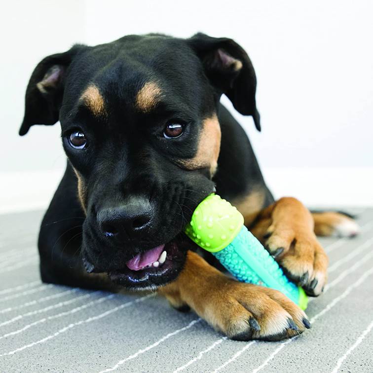 Brinquedo para Cachorro KONG Corestrength Bone Pequeno/Médio