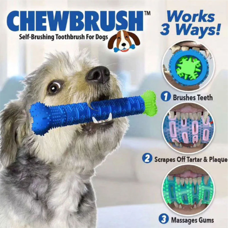 Brinquedo Mordedor Escova de Dente Chewbrush