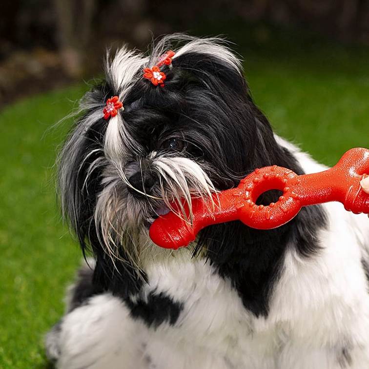 Brinquedo para Cachorro Jambo Mordedor Osso Anelado TPR Carne Grande