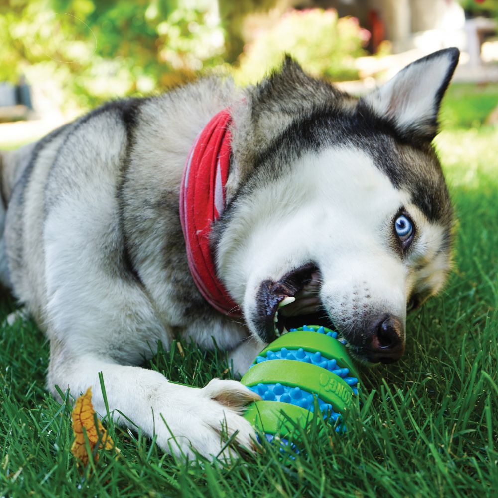 Brinquedo para Cachorro KONG Squeezz Goomz Ball Médio