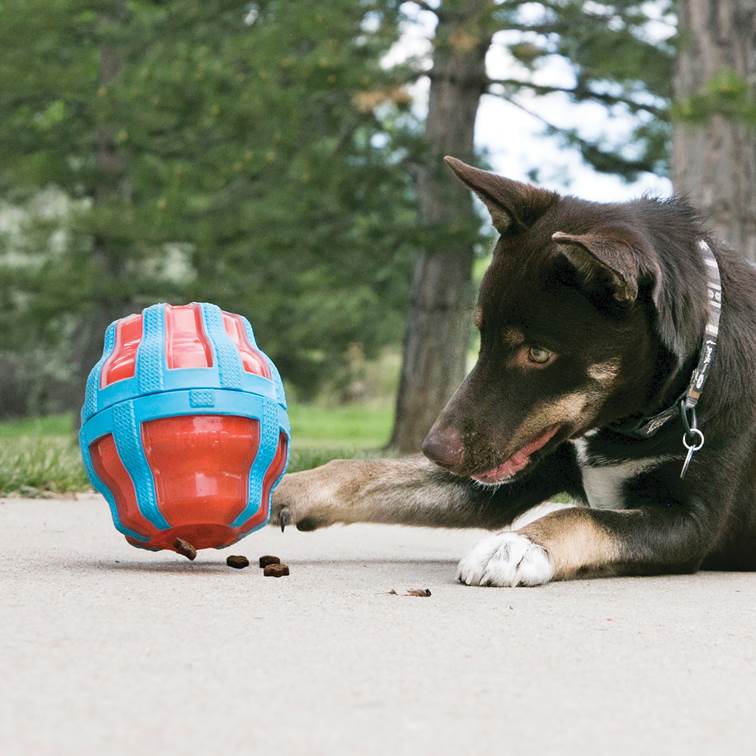 Brinquedo para Cachorro KONG Treat Spinner Large