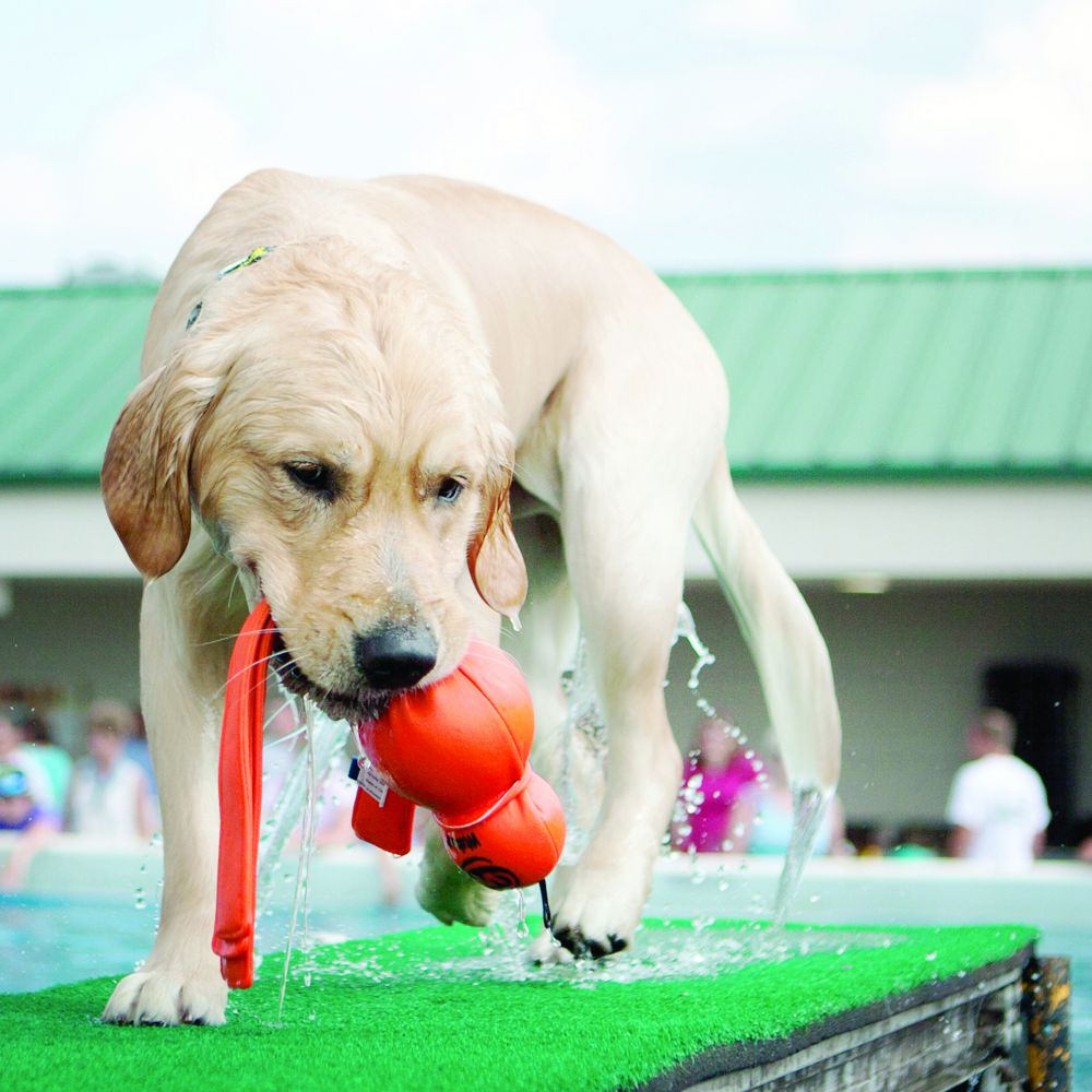 Brinquedo para Cachorro KONG Wubba Wet Large