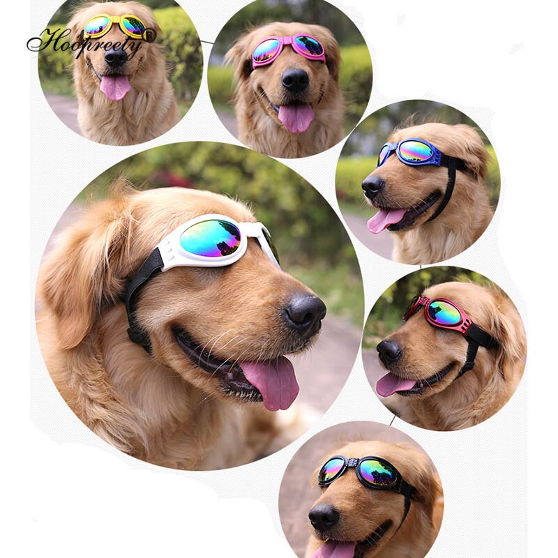 Óculos de Proteção para Cachorro