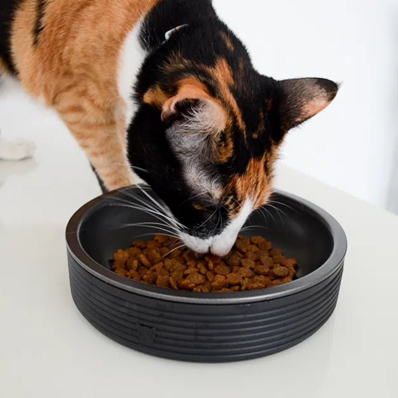 Comedouro para Gatos Zee.Cat Duo Bowl Black