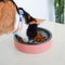 Comedouro para Gatos Zee.Cat Duo Bowl Terracotta