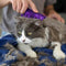 Escova de Borracha para Gato KONG Zoom Groom Cat