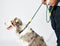 Guia de Corda para Cachorro Zee.Dog Tundra