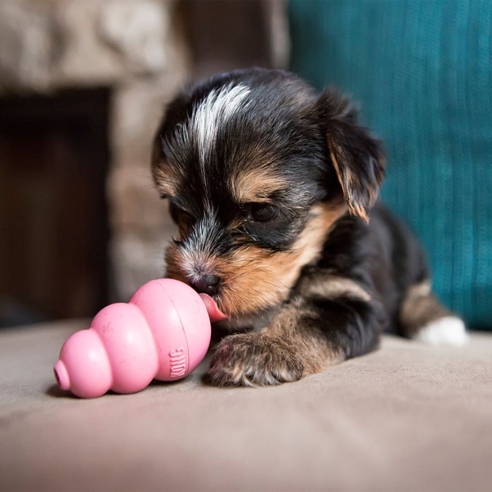 Brinquedo para Cachorro Kong Puppy Extra Pequeno