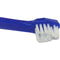 Kit Higiene Oral Dental Buddy Toys