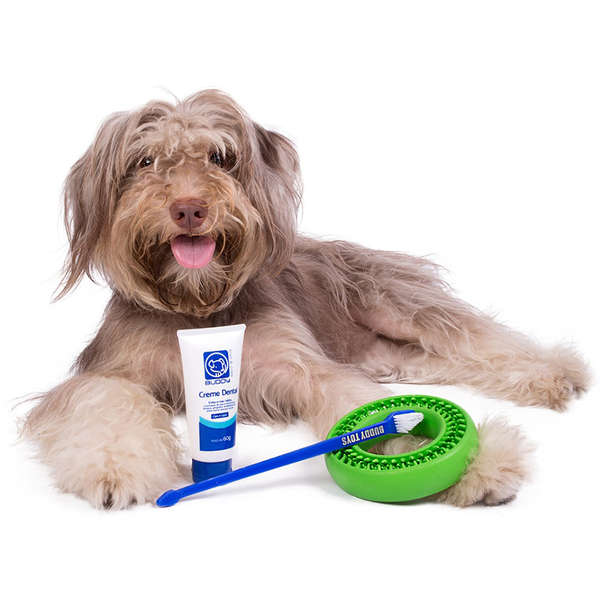 Kit Higiene Oral Dental Buddy Toys