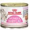 Alimento Úmito Royal Canin Mother e BabyCat Patê 195g