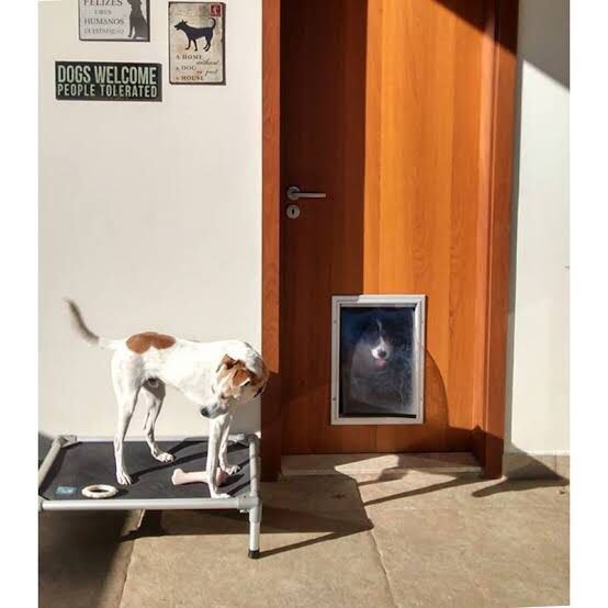 Porta Buddy Pet Door Grande