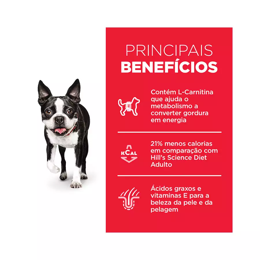 Ração Hill's Cão Adulto Light Pedaços Pequenos 6kg