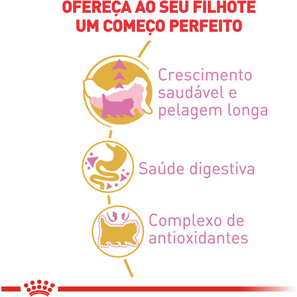 Ração Royal Canin Kitten Persa Gatos Filhotes 400g