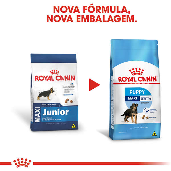 Ração Royal Canin Maxi Junior Cães 15kg