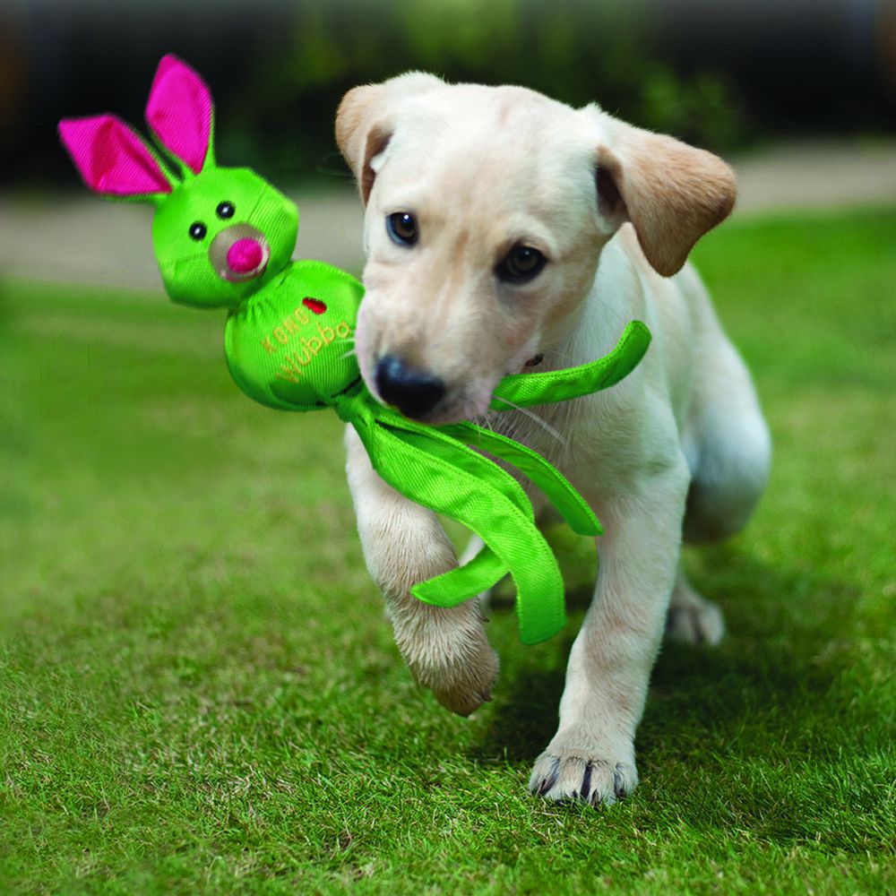 Brinquedo para Cachorro KONG Wubba Ballistic Friends Pequeno