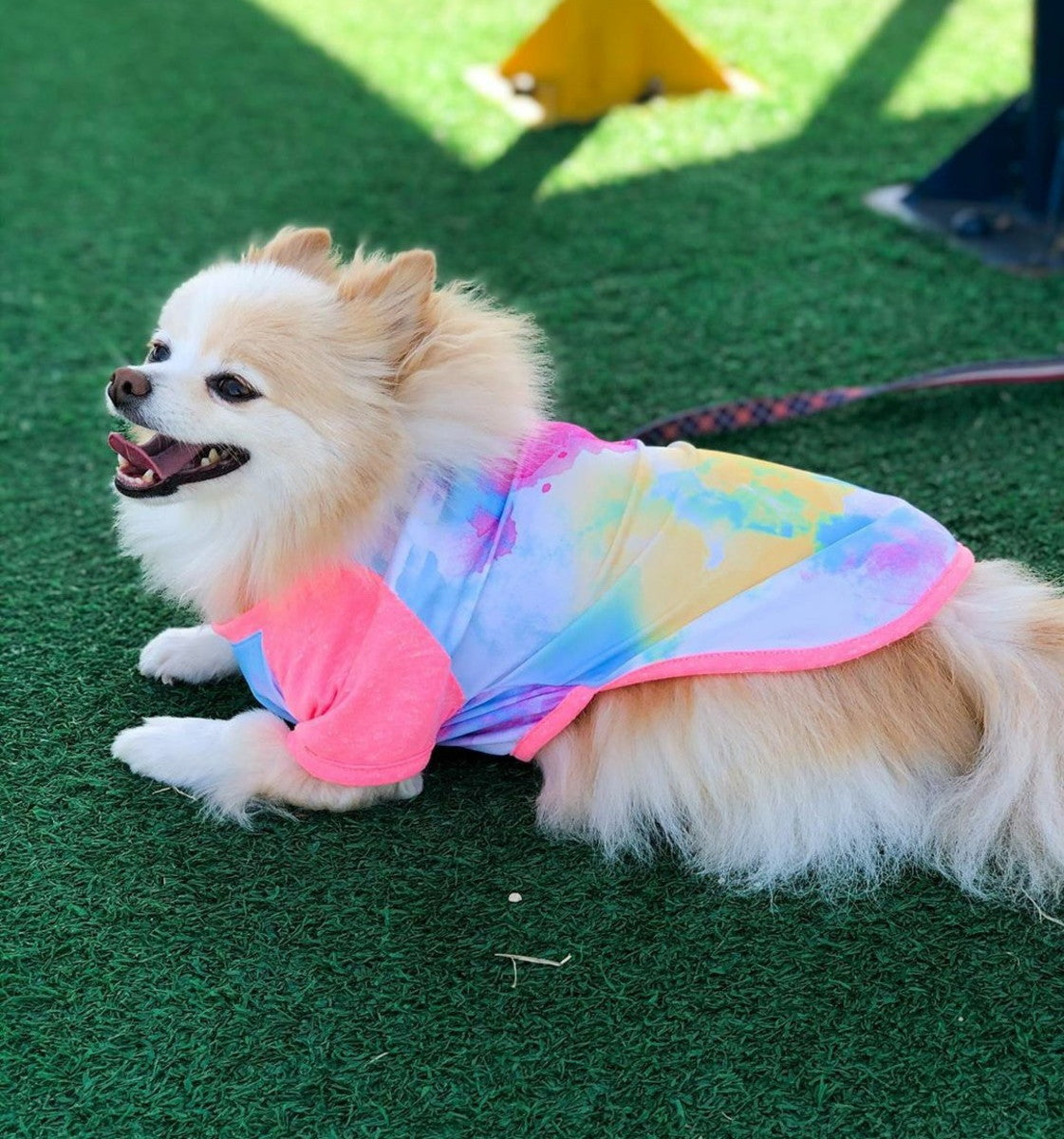 Camiseta para Cachorro Tie Dye Pericão M